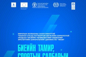 Биеийн тамир, спортын салбарын төсвийн зарлагын шинжилгээ