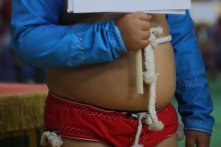 Хэнтий аймгийн өсвөр үеийн үндэсний бөхийн аймгийн аварга шалгаруулах тэмцээн 