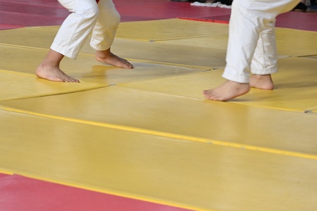 ХЭНТИЙ АЙМГИЙН АВАРГА ШАЛГАРУУЛАХ  ӨСВӨР ҮЕИЙН ЖҮДО БӨХИЙН ТЭМЦЭЭН