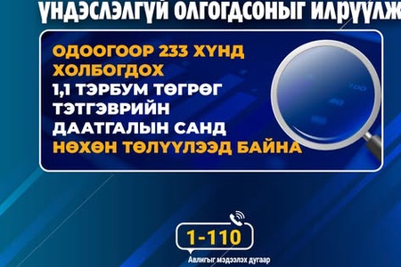 2,6 тэрбум төгрөгийн тэтгэвэр үндэслэлгүй олгогдсоныг илрүүлжээ 