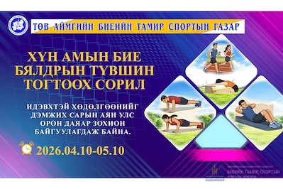 ХҮН АМЫН БИЕ БЯЛДРЫН ТҮШИН ТОГТООХ СОРИЛЫН АЯНЫ УДИРДАМЖ: