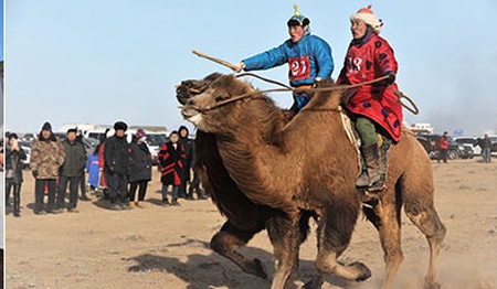 Монголын үндэсний өвлийн спортын VII наадмын тов гарлаа