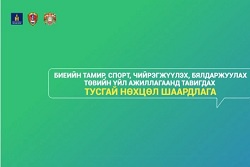 ТУСГАЙ НӨХЦӨЛ ШААРДЛАГА