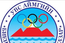 БАЙГУУЛЛАГЫН ЦАХИМ ШУУДАН