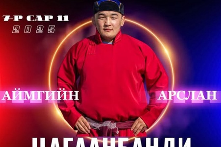ШИНЭХЭН АЙМГИЙН АРСЛАН ЦОЛТОН ТӨРЛӨӨ