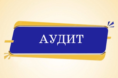 2021 оны аудитын дүгнэлт