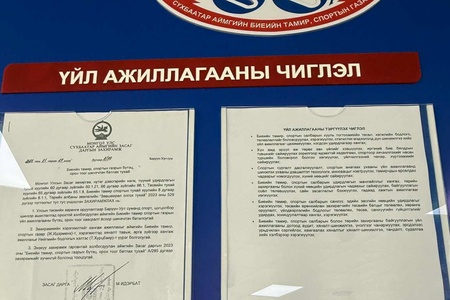 Үйл ажиллагааны чиглэл