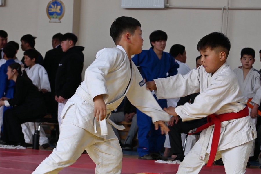 ХЭНТИЙ АЙМГИЙН АВАРГА ШАЛГАРУУЛАХ  ӨСВӨР ҮЕИЙН ЖҮДО БӨХИЙН ТЭМЦЭЭН